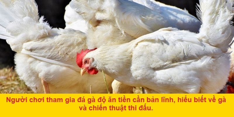 Những điểm nâng tầm trải nghiệm tại AE888