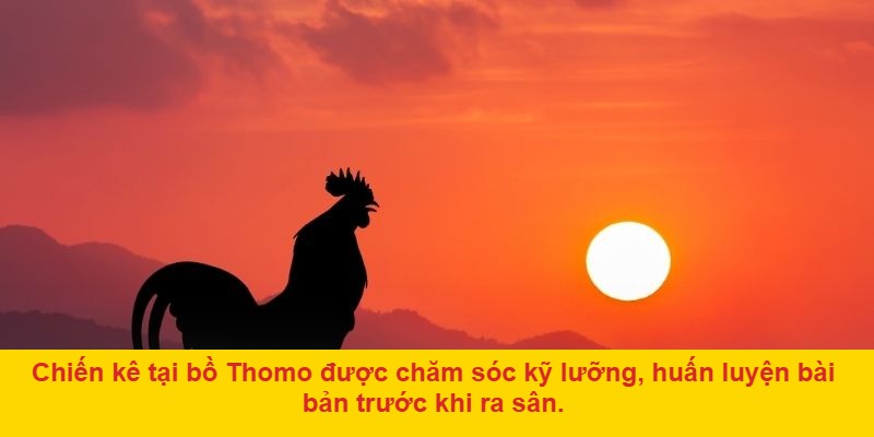 Quản lý vốn cược hợp lý