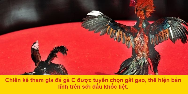 Cộng đồng người chơi rộng lớn
