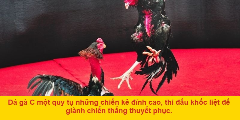 Ưu tiên đặt cược theo xu hướng thị trường