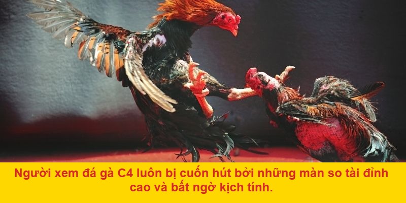 Trận đấu nhanh – lợi nhuận về nhanh