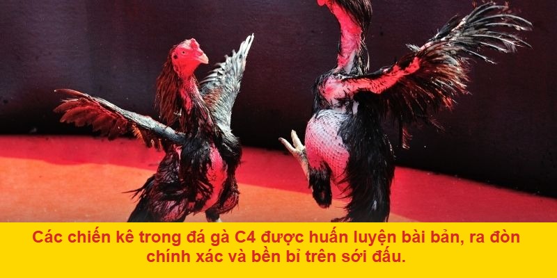 Cơ chế thi đấu và luật xác định chiến thắng