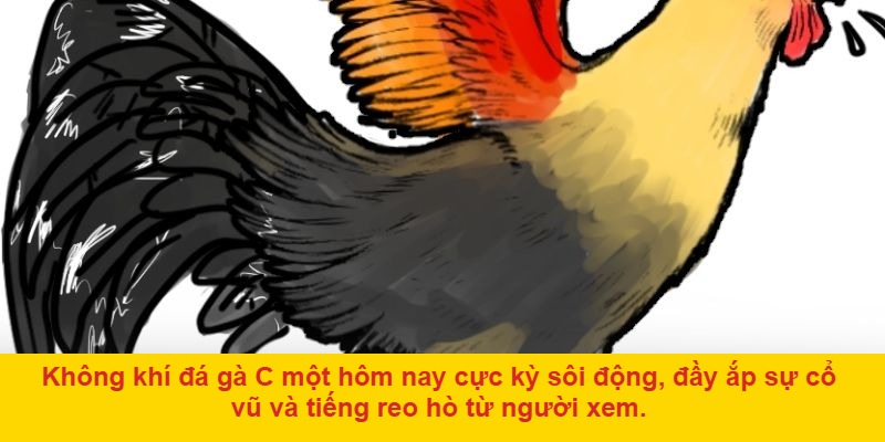 Sự hấp dẫn từ hình thức đá gà c một hôm nay