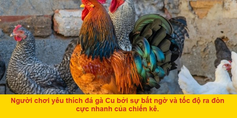 Tự động hóa hệ thống xác nhận giúp tiết kiệm thời gian