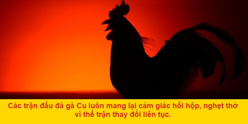 Phong cách ra đòn linh hoạt – không gian cho những pha xử lý bất ngờ
