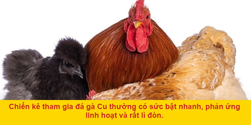 Tốc độ trận đấu là điểm then chốt tạo nên sức hút